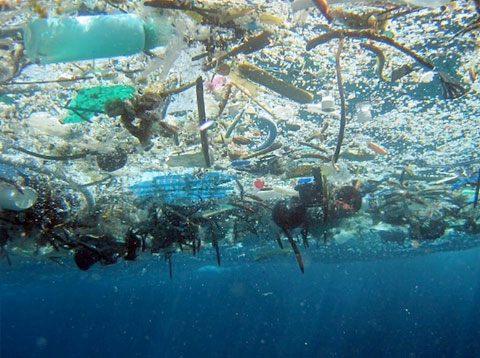 Un'isola di rifiuti plastici nell'oceano